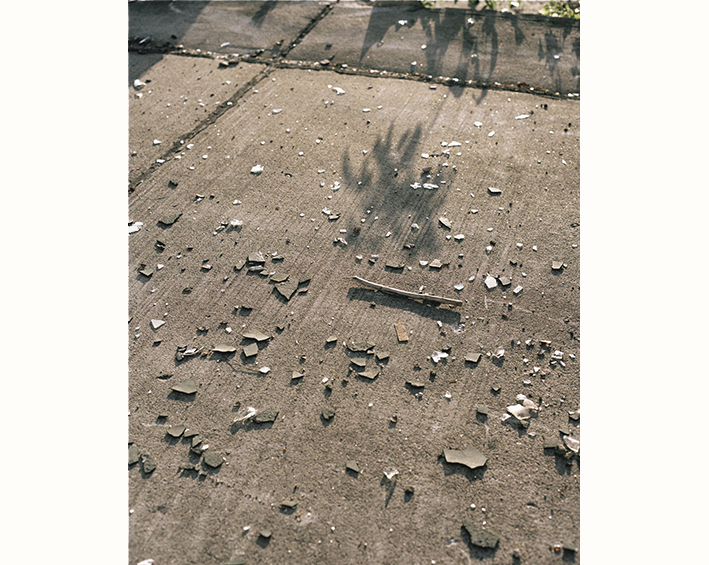 Schatten, 2017